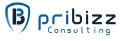 pribizz consulting GmbH